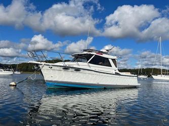28' Cutwater 2017 Yacht For Sale